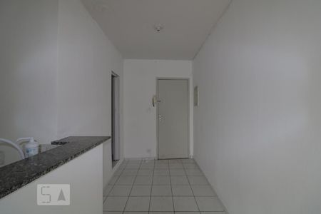 Sala/Cozinha de kitnet/studio para alugar com 1 quarto, 30m² em Vila Sao Geraldo, São Paulo