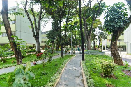 Apartamento para alugar com 60m², 2 quartos e 1 vaga Apartamento para alugar com 60m², 2 quartos e 1 vagaÁrea Verde