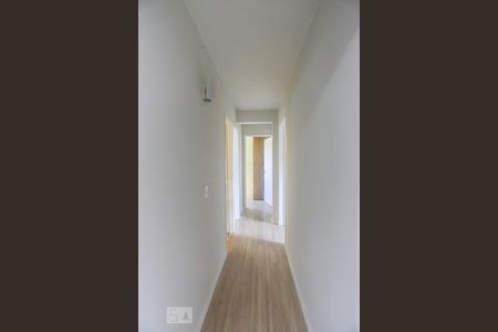 Corredor de apartamento para alugar com 2 quartos, 58m² em Jardim Peri Peri, São Paulo