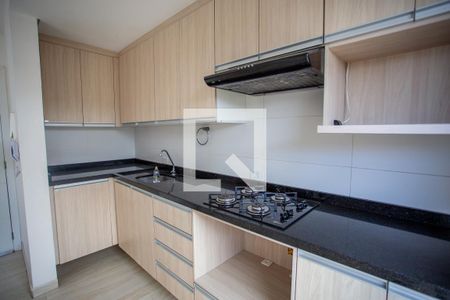 Cozinha de apartamento para alugar com 2 quartos, 53m² em Parque da Fonte, São José dos Pinhais