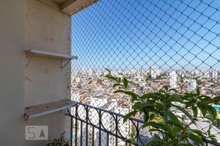 Varanda da Sala de apartamento para alugar com 2 quartos, 51m² em Parque Mandaqui, São Paulo