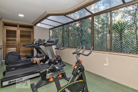 Apartamento para alugar com 230m², 5 quartos e 4 vagasÁrea comum - Academia