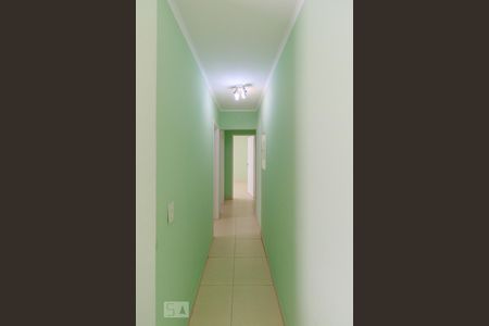 Corredor de apartamento para alugar com 2 quartos, 70m² em Vila Mascote, São Paulo