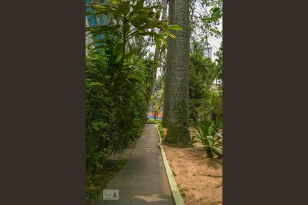 Apartamento para alugar com 200m², 2 quartos e 1 vaga Apartamento para alugar com 200m², 2 quartos e 1 vagaÁREA VERDE