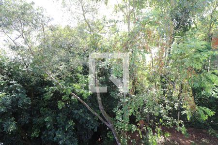 Casa à venda com 700m², 2 quartos e 2 vagasVista