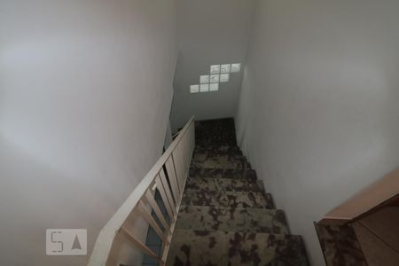 Casa para alugar com 340m², 4 quartos e 5 vagasEscada de acesso aos quartos 