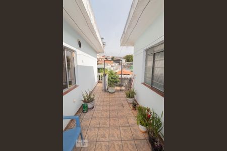 Quintal de casa à venda com 3 quartos, 120m² em Jardim Marisa, São Paulo