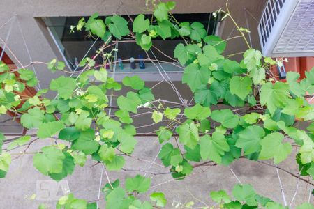 Casa à venda com 250m², 3 quartos e 3 vagasVista da Edícula