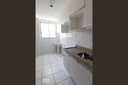 Cozinha de apartamento para alugar com 2 quartos, 60m² em Norte (águas Claras), Brasília