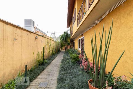 Área Externa - Lateral de casa de condomínio para alugar com 2 quartos, 65m² em Vila Esperança, São Paulo