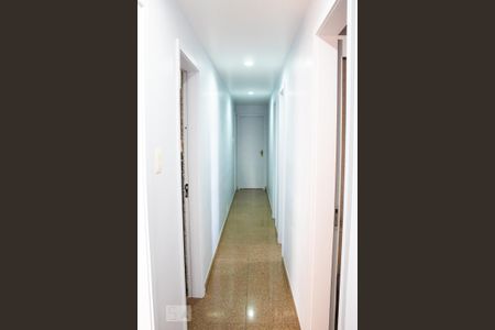 Apartamento para alugar com 167m², 4 quartos e 2 vagasCorredor 