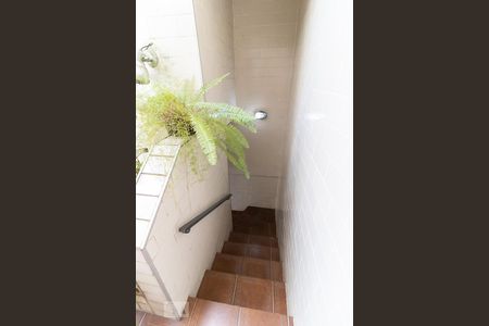 Casa à venda com 240m², 5 quartos e 4 vagasEscada