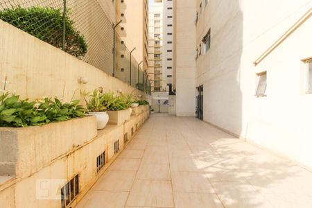 Área comum de apartamento para alugar com 2 quartos, 65m² em Indianópolis, São Paulo