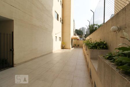Área comum de apartamento para alugar com 2 quartos, 65m² em Indianópolis, São Paulo