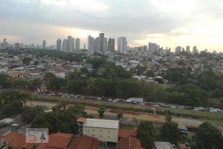 Apartamento para alugar com 64m², 2 quartos e 2 vagasVista Suíte