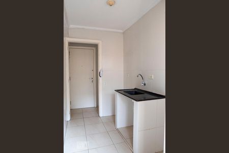 Apartamento para alugar com 46m², 1 quarto e sem vagaCozinha