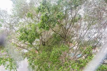 Apartamento à venda com 74m², 2 quartos e 1 vagaQuarto 2 Vista