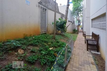 Apartamento para alugar com 81m², 3 quartos e 2 vagas Apartamento para alugar com 81m², 3 quartos e 2 vagasEspaço PET