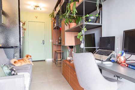 Sala de apartamento para alugar com 1 quarto, 35m² em Campos Elíseos, São Paulo