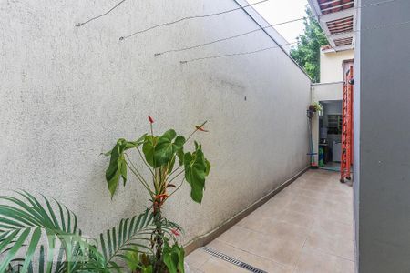Casa à venda com 150m², 5 quartos e 3 vagasQuarto 2 Edicula Vista