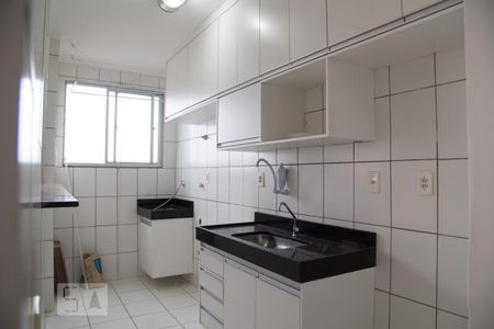 Cozinha de apartamento para alugar com 2 quartos, 48m² em Condomínio Mirante Sul, Ribeirão Preto
