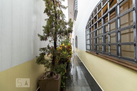 Casa à venda com 400m², 5 quartos e 2 vagasQuintal