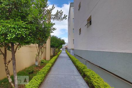 Apartamento para alugar com 50m², 2 quartos e 1 vaga Apartamento para alugar com 50m², 2 quartos e 1 vagaÁrea comum