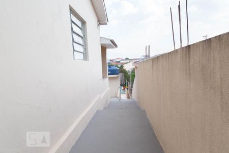 Casa para alugar com 313m², 2 quartos e 3 vagasQuintal