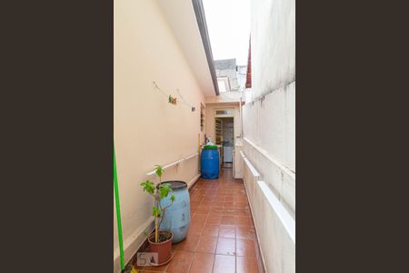 Casa para alugar com 313m², 2 quartos e 3 vagasÁrea de Serviço