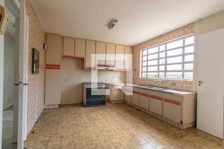Cozinha - Armários de apartamento para alugar com 3 quartos, 140m² em São Francisco, Curitiba