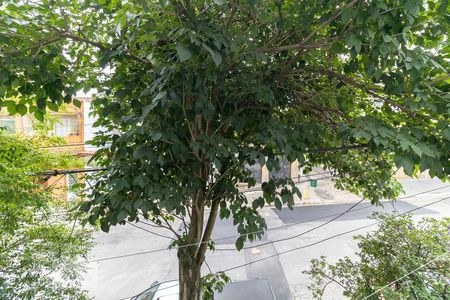 Casa para alugar com 96m², 2 quartos e sem vagaVista do Quarto 2