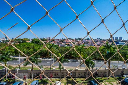 Vista do Quarto 1 de apartamento para alugar com 2 quartos, 44m² em Jardim Nova Europa, Campinas