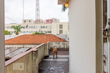 Casa para alugar com 240m², 3 quartos e 4 vagas Casa para alugar com 240m², 3 quartos e 4 vagasVista da Suíte