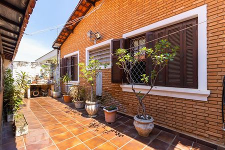 Casa para alugar com 273m², 3 quartos e 5 vagasQuintal