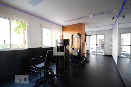 Apartamento para alugar com 65m², 3 quartos e 1 vagaAcademia