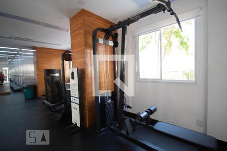 Apartamento para alugar com 65m², 3 quartos e 1 vagaAcademia