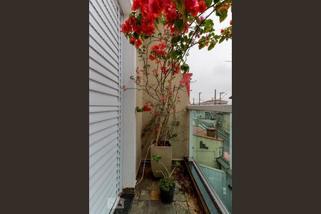 Casa à venda com 240m², 3 quartos e 3 vagasSacada