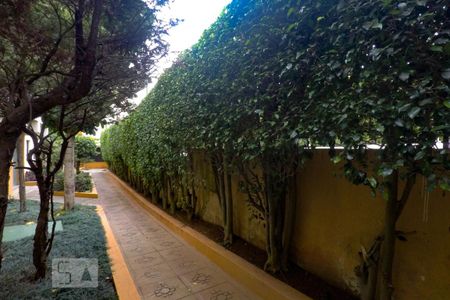 Apartamento para alugar com 56m², 2 quartos e 1 vaga Apartamento para alugar com 56m², 2 quartos e 1 vagaÁrea Comum