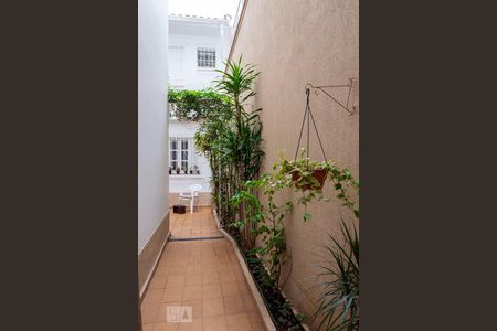 Casa para alugar com 143m², 3 quartos e 1 vagaQuintal