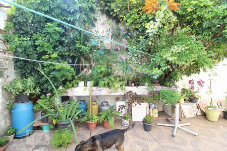 Casa à venda com 231m², 6 quartos e 2 vagasQuintal