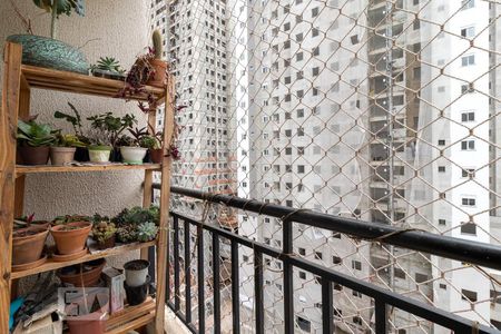 Varanda da Sala de apartamento à venda com 2 quartos, 49m² em Imirim, São Paulo
