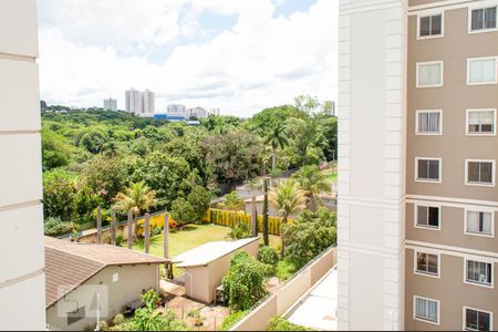 Apartamento para alugar com 52m², 2 quartos e 1 vagaVista do Quarto 1