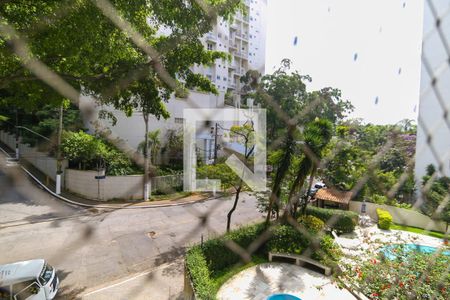 Vista da Varanda de apartamento para alugar com 3 quartos, 134m² em Vila Andrade, São Paulo