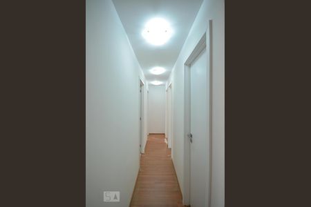 Corredor de apartamento para alugar com 3 quartos, 113m² em Vila Mariana, São Paulo