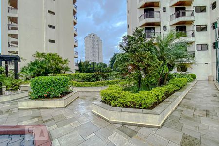Apartamento para alugar com 155m², 4 quartos e 3 vagasArea Comun