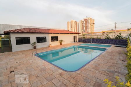Apartamento para alugar com 70m², 3 quartos e 1 vaga Apartamento para alugar com 70m², 3 quartos e 1 vagaPiscina