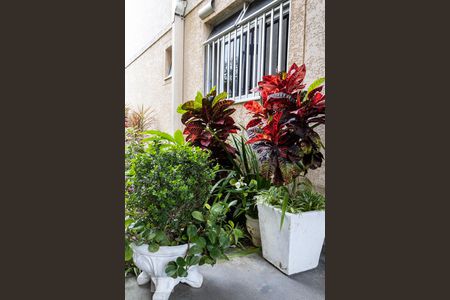 Apartamento para alugar com 51m², 2 quartos e 1 vaga Apartamento para alugar com 51m², 2 quartos e 1 vagaJardim