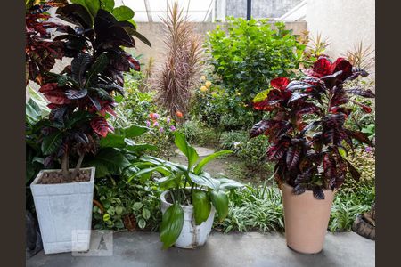 Apartamento para alugar com 51m², 2 quartos e 1 vaga Apartamento para alugar com 51m², 2 quartos e 1 vagaJardim