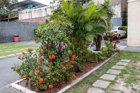 Apartamento para alugar com 51m², 2 quartos e 1 vaga Apartamento para alugar com 51m², 2 quartos e 1 vagaJardim