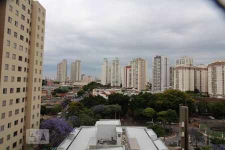 Apartamento para alugar com 50m², 2 quartos e 1 vagaVista do quarto 2